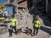 Уточненные сведения: жертвами землетрясения на границе Ирана и Турции стали 10 человек, более 150 пострадали