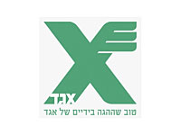 Бесплатный общественный транспорт в день выборов – на маршрутах