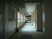 В связи с коронавирусом все школы в Японии будут закрыты до середины апреля