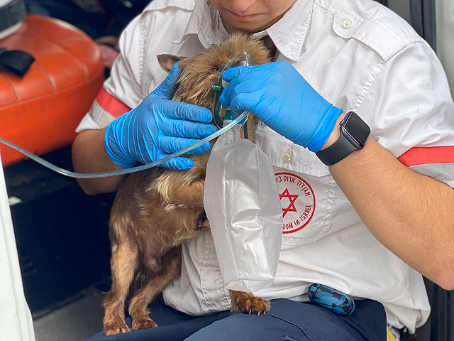 Пожар в одном из жилых домов Хайфы; трое пострадавших