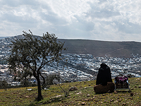 ООН обсуждает ситуацию в Идлибе, Иран предлагает посредничество