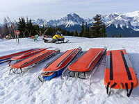 В результате схода лавины в Верхней  Австрии погибли пять человек
