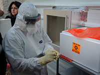 За сутки в Израиле выявлено 25 случаев заражения