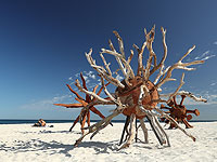 Рука великана, коронавирус и Гомер Симпсон : фоторепортаж с фестиваля ландшафтной архитектуры.