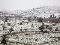 Синоптик: 20 марта ожидается снегопад не только на Хермоне, но и в других районах Голанских высот