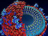 Российские вирусологи расшифровали геном COVID-19