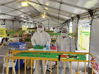 Комплексы Drive-In для проверок населения на коронавирус откроются в Иерусалиме, Хайфе и Беэр-Шеве