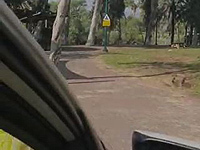 Возбуждено 117 уголовных дел, связанных с нарушениями условий карантина