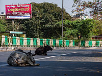 Комендантский час в Индии:  миллиард жителей страны проведут взаперти 14 часов