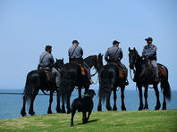 Правительство готовится к введению новых ограничений на передвижение