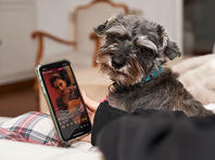 Минкультуры выделяет 8 млн шекелей для трансляций в интернете концертов и спектаклей