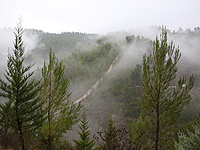 Густой туман в Негеве; полиция просит водителей быть осторожными