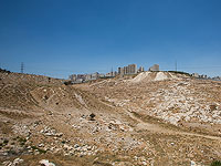 Банк Израиля: в Ашдоде за три года не продали землю даже под одну из 30 тысяч обещанных квартир