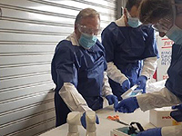 Директор отдела регуляции минздрава: будет проведена проверка тестов на COVID-19, сделанных накануне