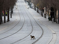 Правительство взвешивает возможность введения полного карантина в день праздника Песаха
