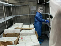 Минздрав Израиля подписал соглашение с институтом Вейцмана о проведении тестов на COVID-19