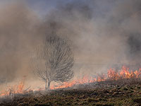 Tageszeitung: Цезий-137 на пути в Киев