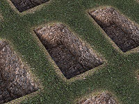 Власти Тегерана подготовились к 10000 умерших от коронавируса