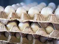 В Израиль доставлены 7 миллионов яиц из Украины