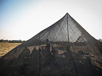 Поселенческая молодежь сбежала из 