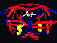Reuters: в России