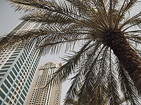 Правительственные учреждения ОАЭ могут быть переоборудованы под больницы