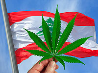 Ливан легализует выращивание конопли