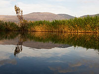 В южной части Иордана будет построена новая плотина