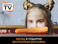KartinaTV: месяц в подарок и бесплатная доставка до двери дома