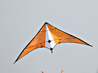 21-летний бразильский футболист погиб, запуская воздушного змея