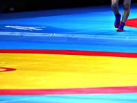 Все турниры по самбо отложены на неопределенный срок