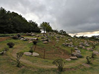 Чемпионат мира по маунтинбайку отменен