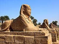 Завершен перенос сфинксов из Луксора в Каир