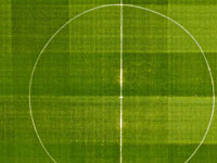 Чемпионат Беларуси. Дубль бывшего игрока