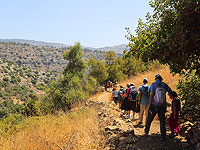 Заповедник Нахаль Амуд закрыт в связи с праздником Лаг ба-Омер