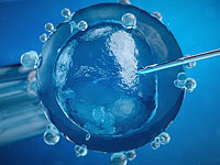 Полностью возобновляется проведение процедур искусственного оплодотворения