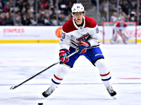 Знаменитый чешский хоккеист объявил о завершении карьеры