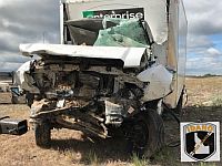 В США в результате ДТП погибли два человека и 14 собак