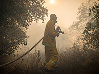 В лесу, расположенном к северу от Бейт-Шемеша, вспыхнул пожар. ВИДЕО