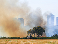 В Израиле на фоне необычной жары за день вспыхнули не менее 10 пожаров