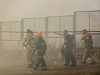 Шарав в Израиле: первые жертвы жары, высокая вероятность пожаров