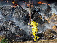 Неподалеку от Кирьят Яарим вспыхнул сильный пожар
