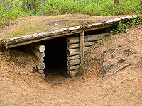 Россиянин и его дети, спасаясь от коронавируса, переселились в лес