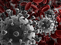 Главный вирусолог Австралии: SARS-CoV-2    идеально  совместим с человеком