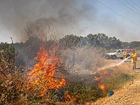 Пожар возле поселка Ицхар в Самарии; огонь локализован