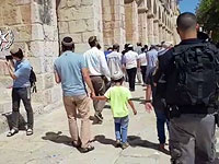 Сотни евреев посетили Храмовую гору, восемь человек задержаны за 