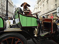 Франция спасает Renault