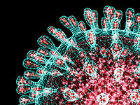 ELife: SARS-CoV-2 мутировал, 