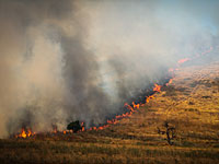 Полевой пожар на Хевронском нагорье, не исключен поджог