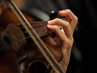 Американка написала книгу о том, как работала скрипачкой в 